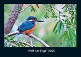 Welt der Vögel 2025 Fotokalender DIN A4