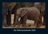 Der Elefantenkalender 2025 Fotokalender DIN A4