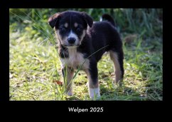 Welpen 2025 Fotokalender DIN A3 Cover Welpen 2025 Fotokalender DIN A3