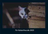 Für Katzenfreunde 2025 Fotokalender DIN A4 Für Katzenfreunde 2025 Fotokalender DIN A4