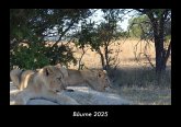 Bäume 2025 Fotokalender DIN A3 Bäume 2025 Fotokalender DIN A3