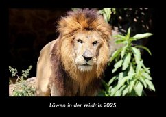 Cover Löwen in der Wildnis 2025 Fotokalender DIN A3
