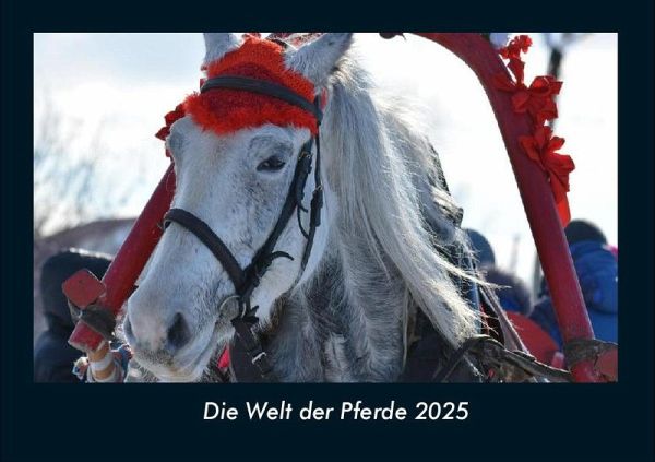 Die Welt der Pferde 2025 Fotokalender DIN A4 Die Welt der Pferde 2025 Fotokalender DIN A4