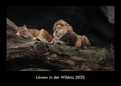 Cover Löwen in der Wildnis 2025 Fotokalender DIN A3