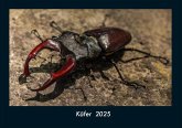 Käfer 2025 Fotokalender DIN A4 Käfer 2025 Fotokalender DIN A4