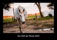 Cover Die Welt der Pferde 2025 Fotokalender DIN A3