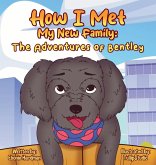 How I Met My New Family How I Met My New Family