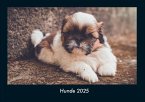 Hunde 2025 Fotokalender DIN A4