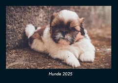 Cover Hunde 2025 Fotokalender DIN A4