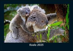 Cover Koala 2025 Fotokalender DIN A5