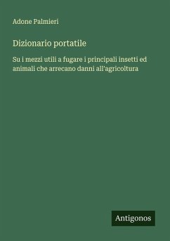Cover Dizionario portatile