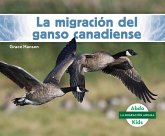 La Migración del Ganso Canadiense (Canada Goose Migration)