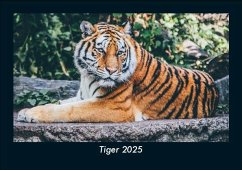 Cover Tiger 2025 Fotokalender DIN A5