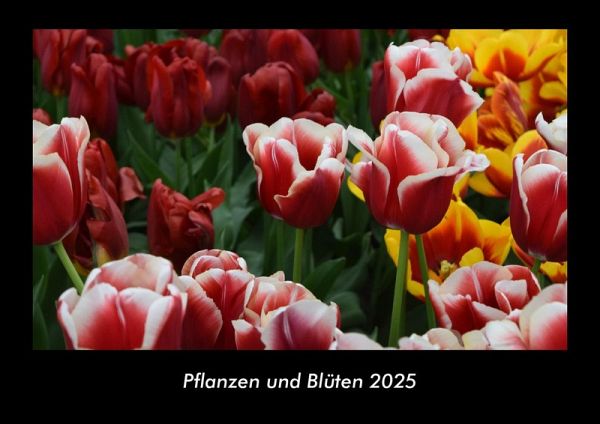 Pflanzen und Blüten 2025 Fotokalender DIN A3