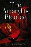 The Amaryllis Picotee The Amaryllis Picotee