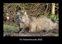 Cover Für Katzenfreunde 2025 Fotokalender DIN A3