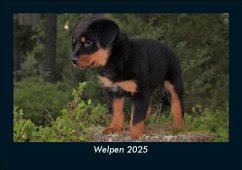 Welpen 2025 Fotokalender DIN A5 - Tobias Becker