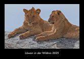 Löwen in der Wildnis 2025 Fotokalender DIN A3 Löwen in der Wildnis 2025 Fotokalender DIN A3