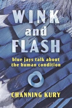 Wink and Flash Cover Wink and Flash