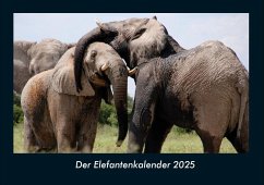 Der Elefantenkalender 2025 Fotokalender DIN A4 - Tobias Becker