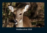 Waldbewohner 2025 Fotokalender DIN A4 Waldbewohner 2025 Fotokalender DIN A4