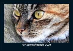 Cover Für Katzenfreunde 2025 Fotokalender DIN A5