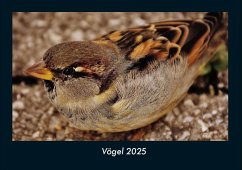 Cover Vögel 2025 Fotokalender DIN A4