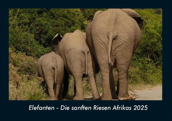 Elefanten - Die sanften Riesen Afrikas 2025 Fotokalender DIN A4