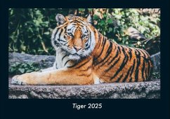 Cover Tiger 2025 Fotokalender DIN A4