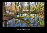 Waldzauber 2025 Fotokalender DIN A3