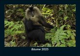 Bäume 2025 Fotokalender DIN A5 Bäume 2025 Fotokalender DIN A5