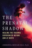 The Prenatal Shadow The Prenatal Shadow