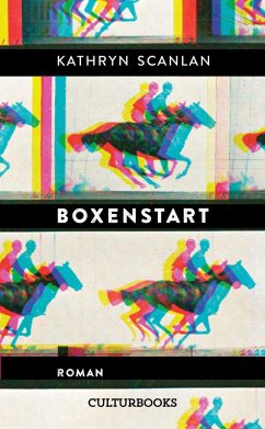 Cover Boxenstart. Roman (eBook, ePUB)