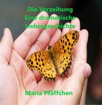 Die Verzeihung (eBook, ePUB)