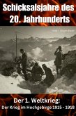 Schicksalsjahre des 20. Jahrhunderts (eBook, ePUB)