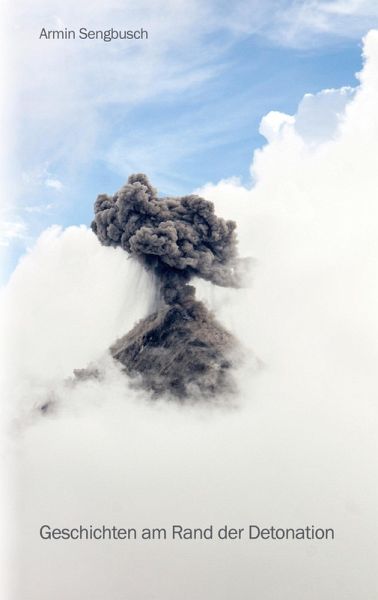 Geschichten am Rand der Detonation (eBook, ePUB)