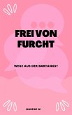 Frei von Furcht (eBook, ePUB)