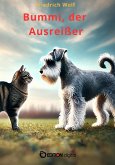 Bummi, der Ausreißer (eBook, PDF)
