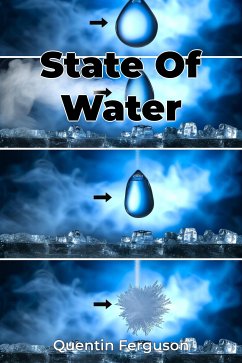 State Of Water (eBook, ePUB) - Ferguson, Quentin