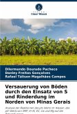 Versauerung von Böden durch den Einsatz von S und Rinderdung im Norden von Minas Gerais Versauerung von Böden durch den Einsatz von S und Rinderdung im Norden von Minas Gerais