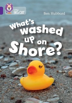 Cover What's washed up on shore?