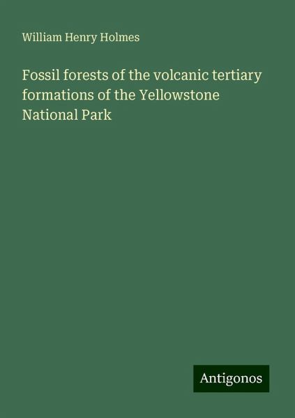 Fossil forests of the volcanic tertiary formations of the Yellowstone National Park Fossil forests of the volcanic tertiary formations of the Yellowstone National Park