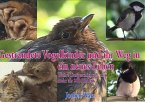 Gestrandete Vogelkinder und ihr Weg in ein neues Leben (eBook, ePUB)