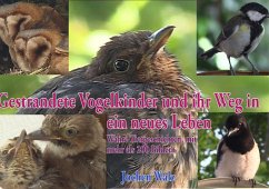 Cover Gestrandete Vogelkinder und ihr Weg in ein neues Leben (eBook, ePUB)