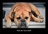Welt der Tiere 2025 Fotokalender DIN A3 Welt der Tiere 2025 Fotokalender DIN A3