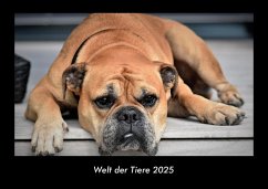 Cover Welt der Tiere 2025 Fotokalender DIN A3