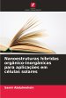Nanoestruturas híbridas... - Bild 1