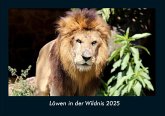 Löwen in der Wildnis 2025 Fotokalender DIN A4 Löwen in der Wildnis 2025 Fotokalender DIN A4