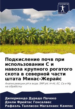Podkislenie pochw pri ispol'zowanii S i nawoza krupnogo rogatogo skota w sewernoj chasti shtata Minas-Zherajs - Durado Pacheko, Dilermando;Frejtas Gonsalwes, Dänli;Tallison Magalhaes Kampos, Rafaäl'