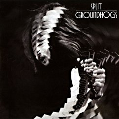 Split (Gold Vinyl) - Groundhogs,The